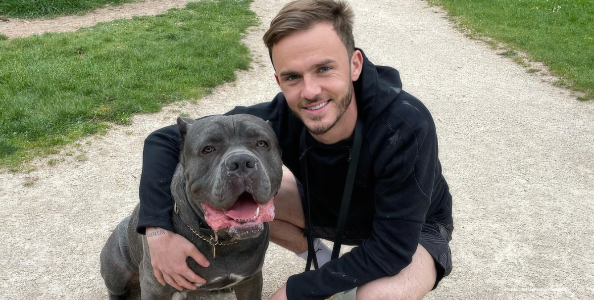 How James Maddison’s family lives comfortably with a protective dog