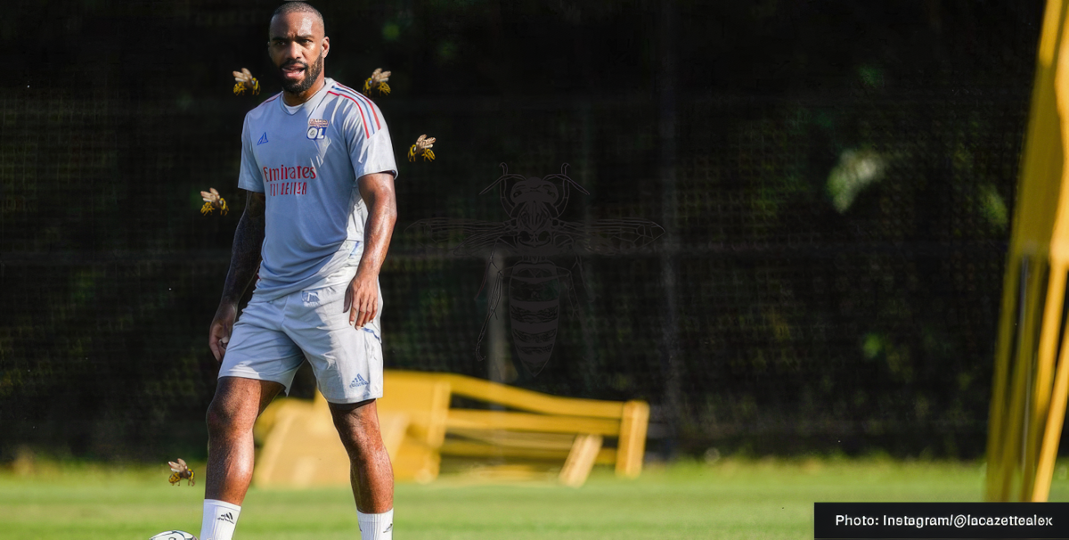 Alexandre Lacazette out after massive wasp attack￼